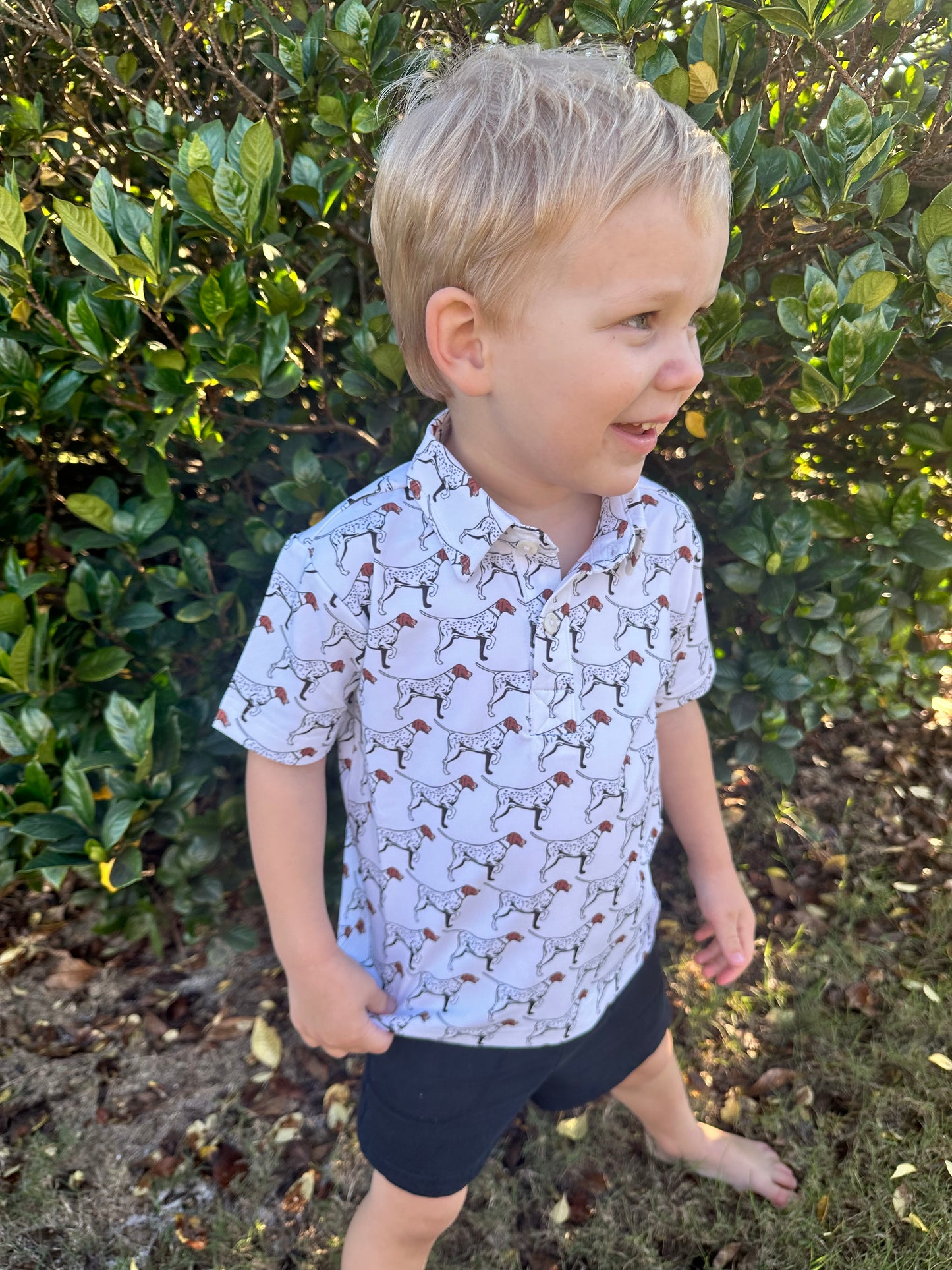 Bird Dog Capitol Polo